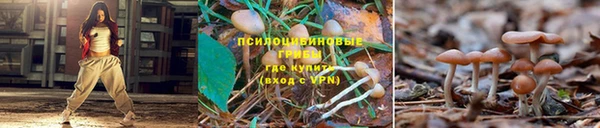 Альфа ПВП Арсеньев