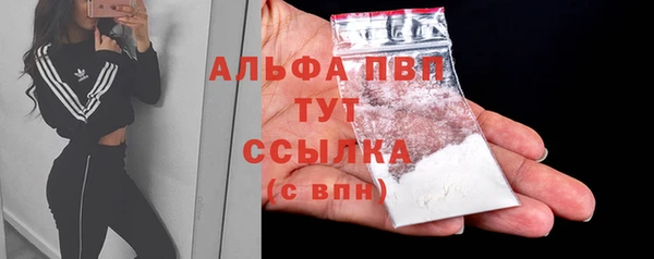 молекула духа Сосновка